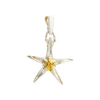 Pandantiv „Stea de mare” din argint 925 cu accente aurii – talisman pentru noroc și seninătate, bijuterie sculpturală în stil boho și rustic | Art Diva