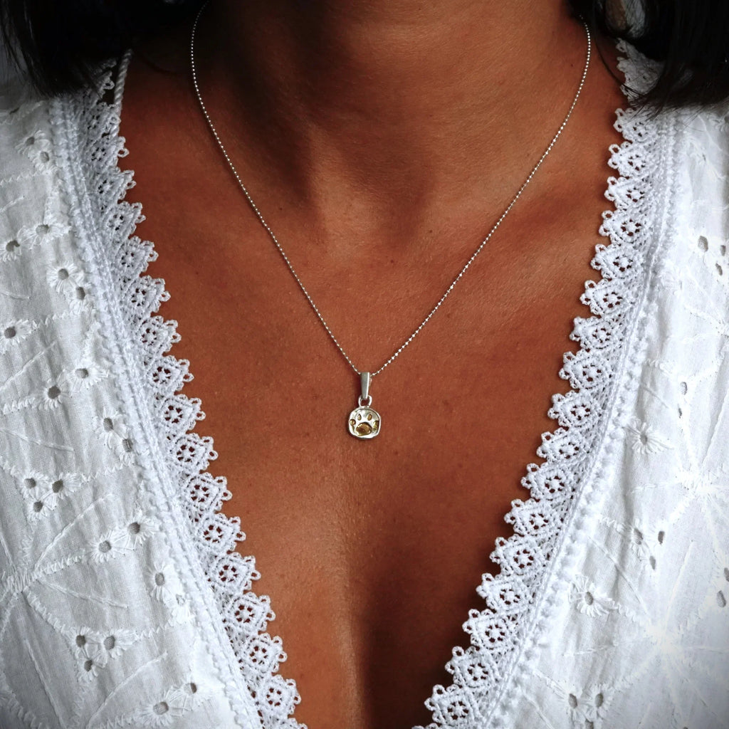 Pandantiv „Lăbuță” din argint 925 cu accente aurii – talisman boho handmade pentru dragostea față de animale, cadou pentru iubitorii de câini sau pisici | Art Diva
