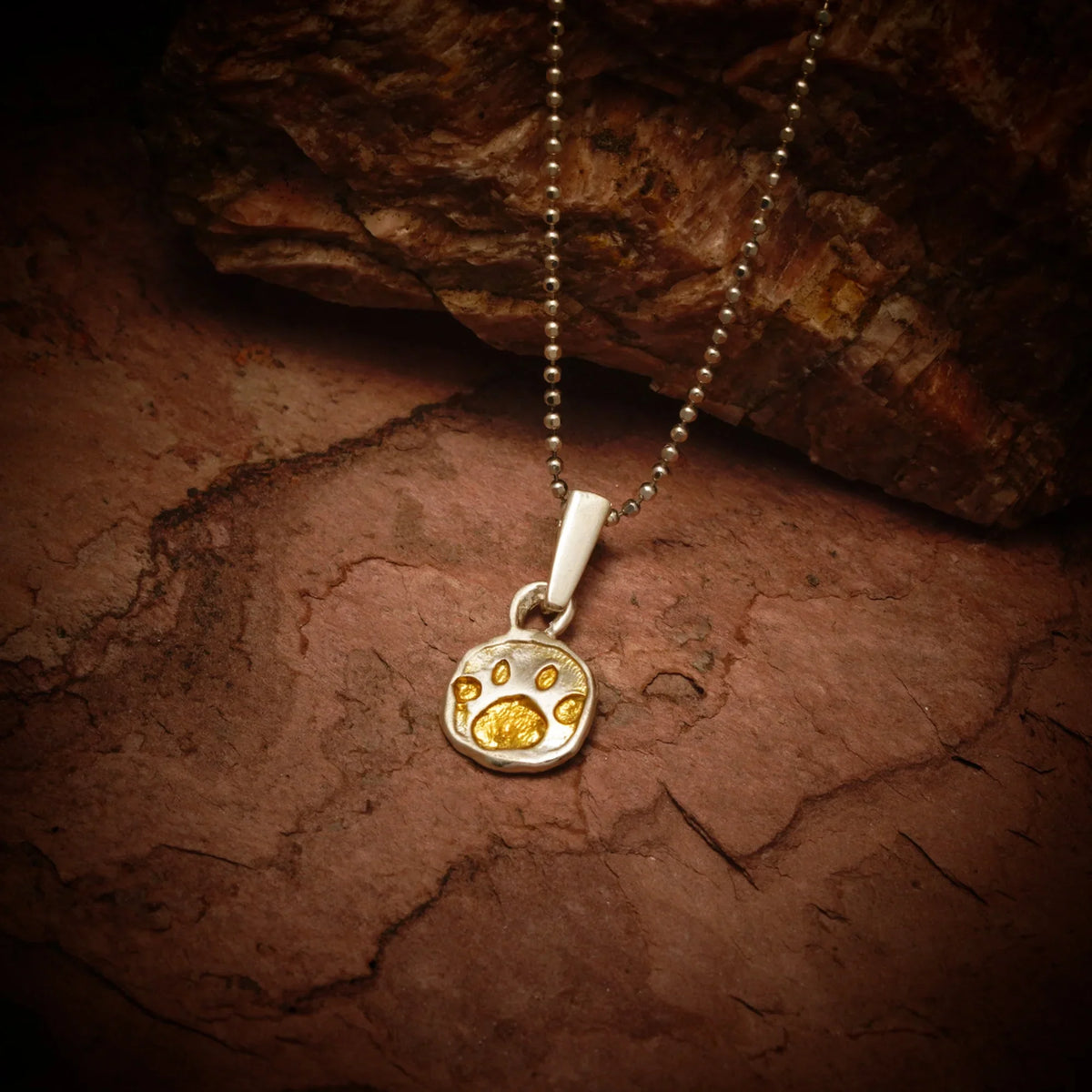 Pandantiv „Lăbuță” din argint 925 cu accente aurii – talisman boho handmade pentru dragostea față de animale, cadou pentru iubitorii de câini sau pisici | Art Diva